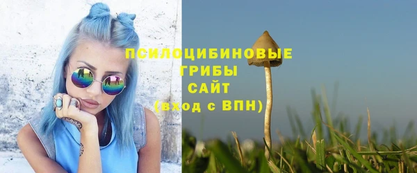 ALPHA-PVP Алексеевка