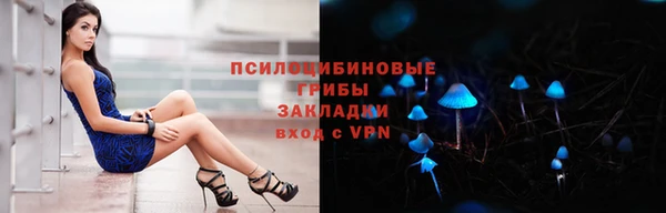 ECSTASY Алзамай