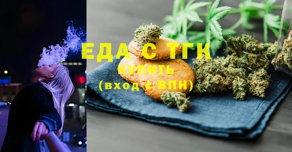ECSTASY Алзамай