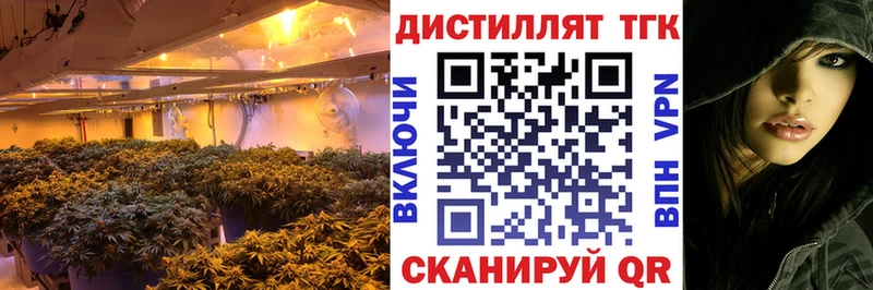 Дистиллят ТГК Wax  Тамбов 