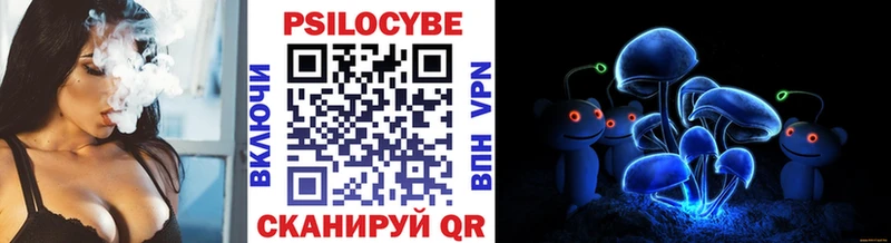 Галлюциногенные грибы Magic Shrooms  закладки  Тамбов 